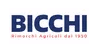 Bicchi